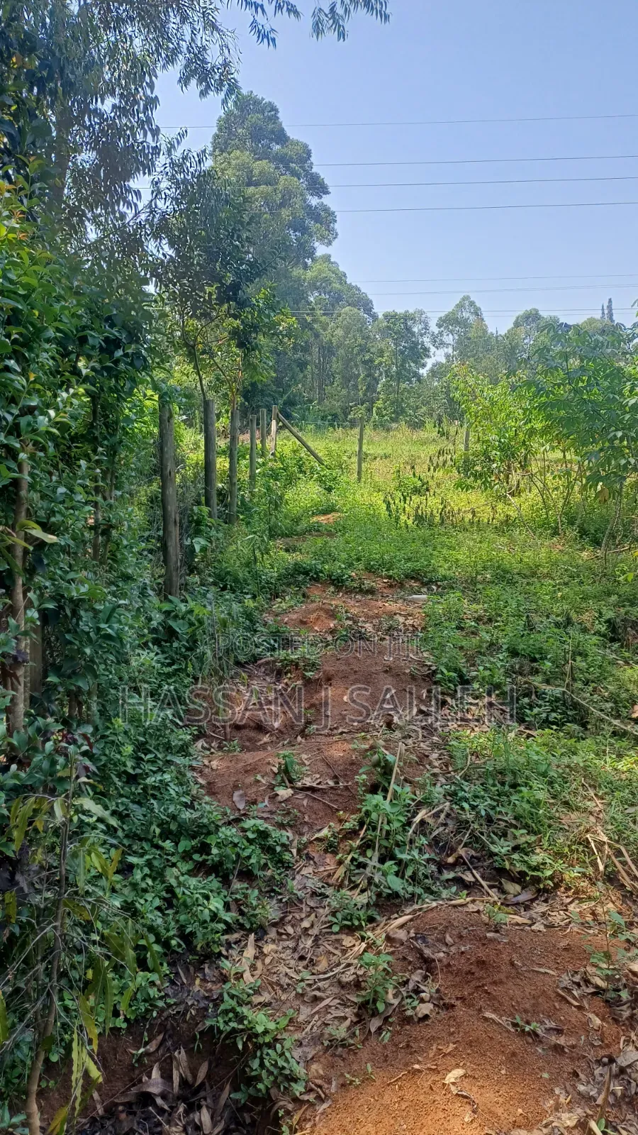 60 X100fts PLOT EKERO.