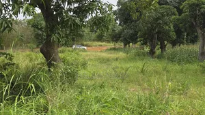 Mtwapa Residential Plots for Sale 1/8 Acre
