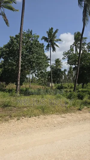 2 Acres Tezo Kakanjuni Road Kilifi