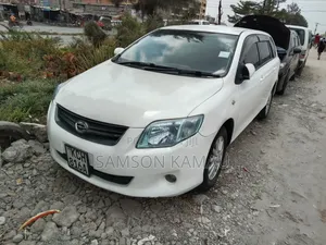 Toyota Corolla Fielder 2010 White