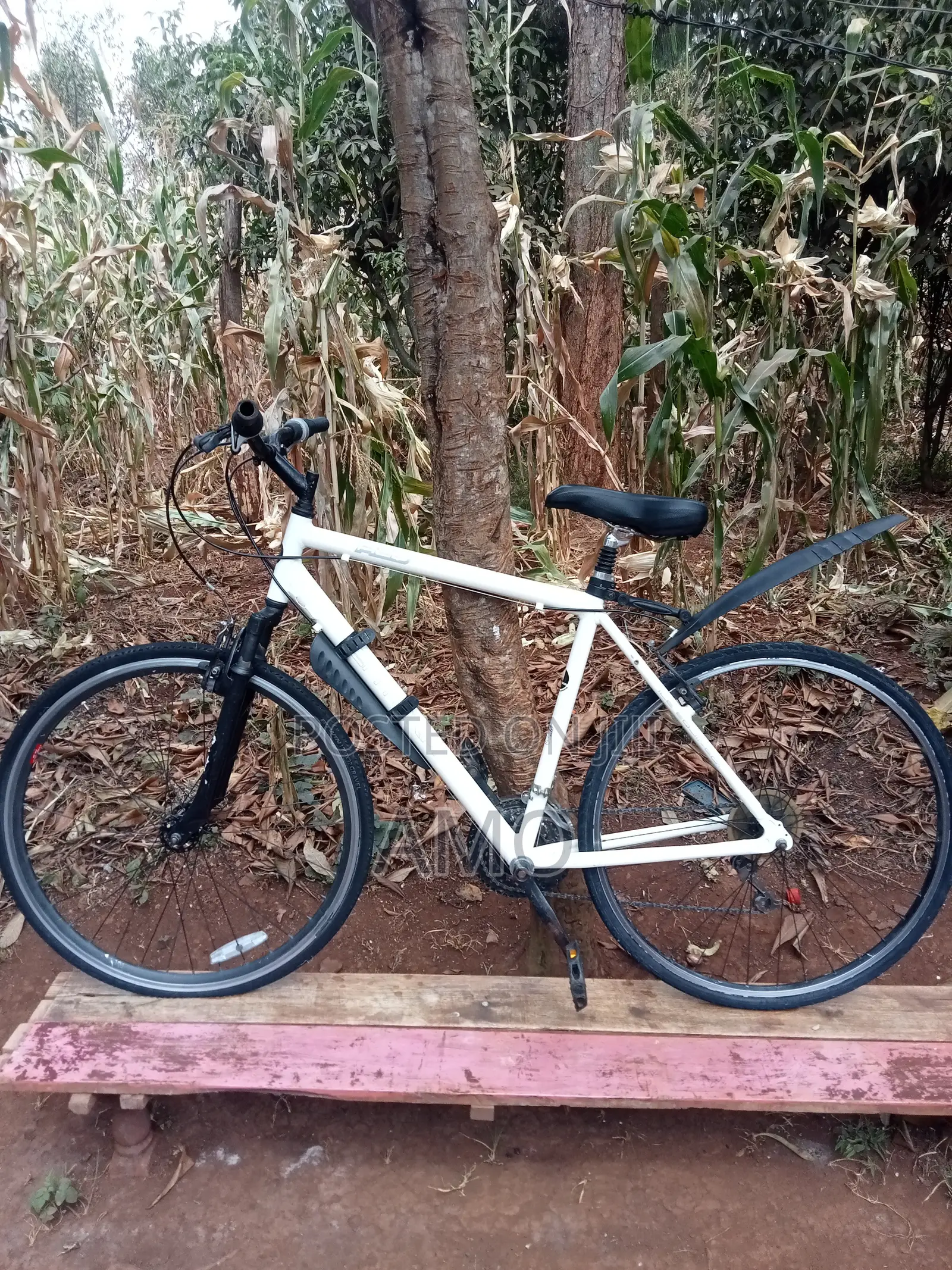 GT Bicycle