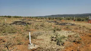 Residential Plots in Nachu
