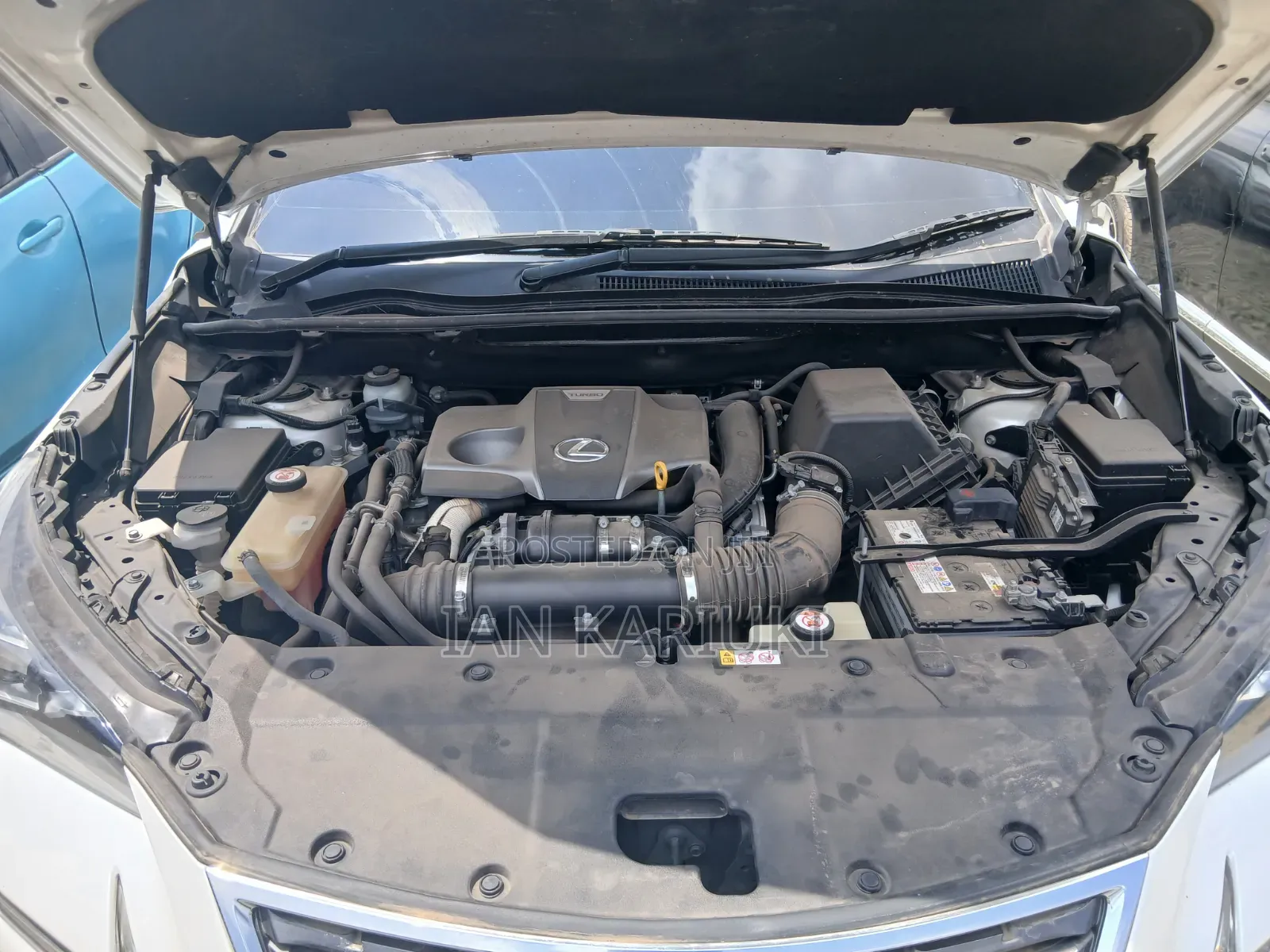 Lexus NX 2018 White