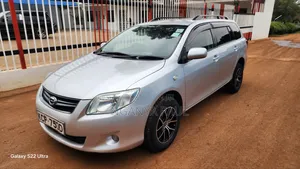 Toyota Corolla Fielder 2011 Silver