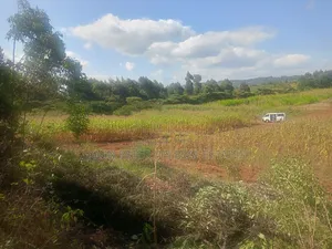 Plots in Thigio, Kikuyu
