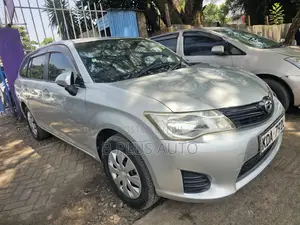 Toyota Corolla Fielder 2013 Silver