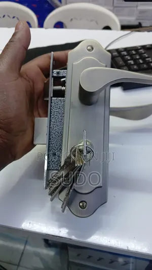 Flush Door Locks
