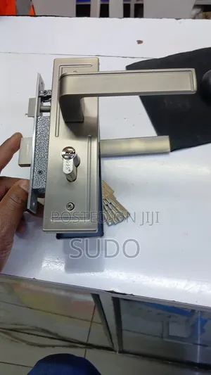 Flush Door Locks