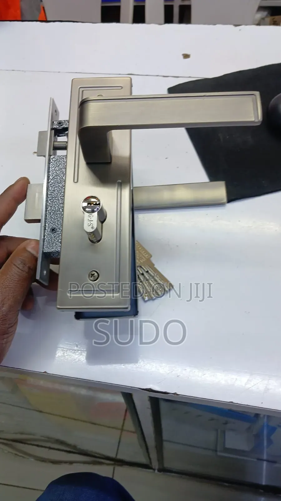 Flush Door Locks
