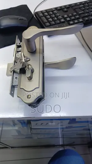 Flush Door Locks