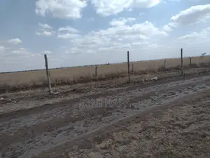 Prime Plot in Ruiru Kamakis Silicon Valley