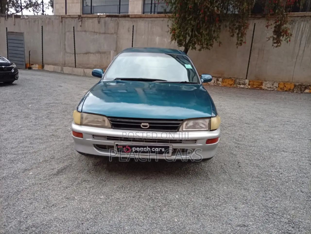 Toyota Corolla 1996 Blue