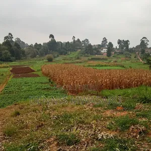 Land for Sale in Muguga Ward Kiambu