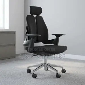 Dual Back Fabric Orthopedic Chair