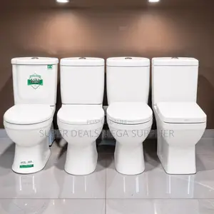 High Performance Ceramic Toilet Collection for Modern Bathroom Spaces