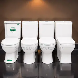 Elegant Ceramic Toilet Display Collection for Bathroom Showrooms
