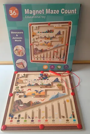 Magnetic Maze Count