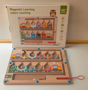 Magnetic Learning Maze
