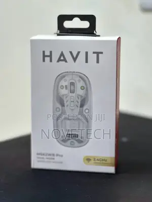 Havit MS62WB Pro Wireless Mouse