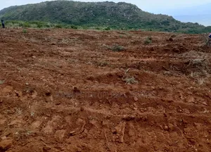 Plots in Kamangu, Kiriri Primary