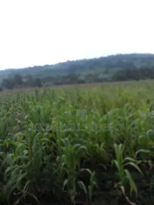 Prime 7-Acre Agricultural Land for Sale | Kamuyu Village, Burnt Forest