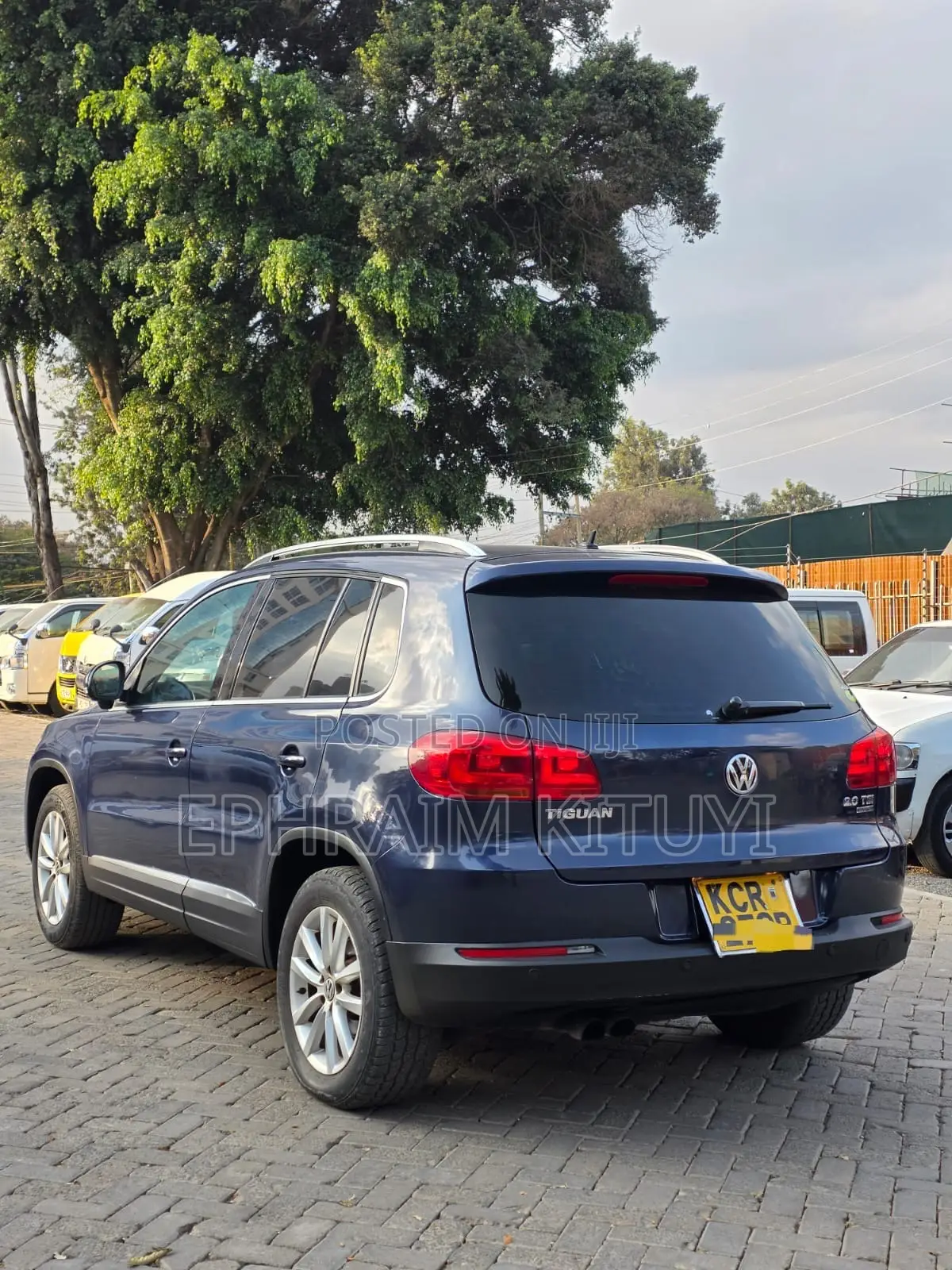 Volkswagen Tiguan 2010 Blue