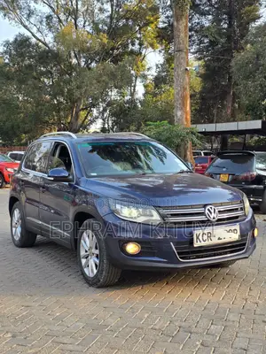 Volkswagen Tiguan 2010 Blue