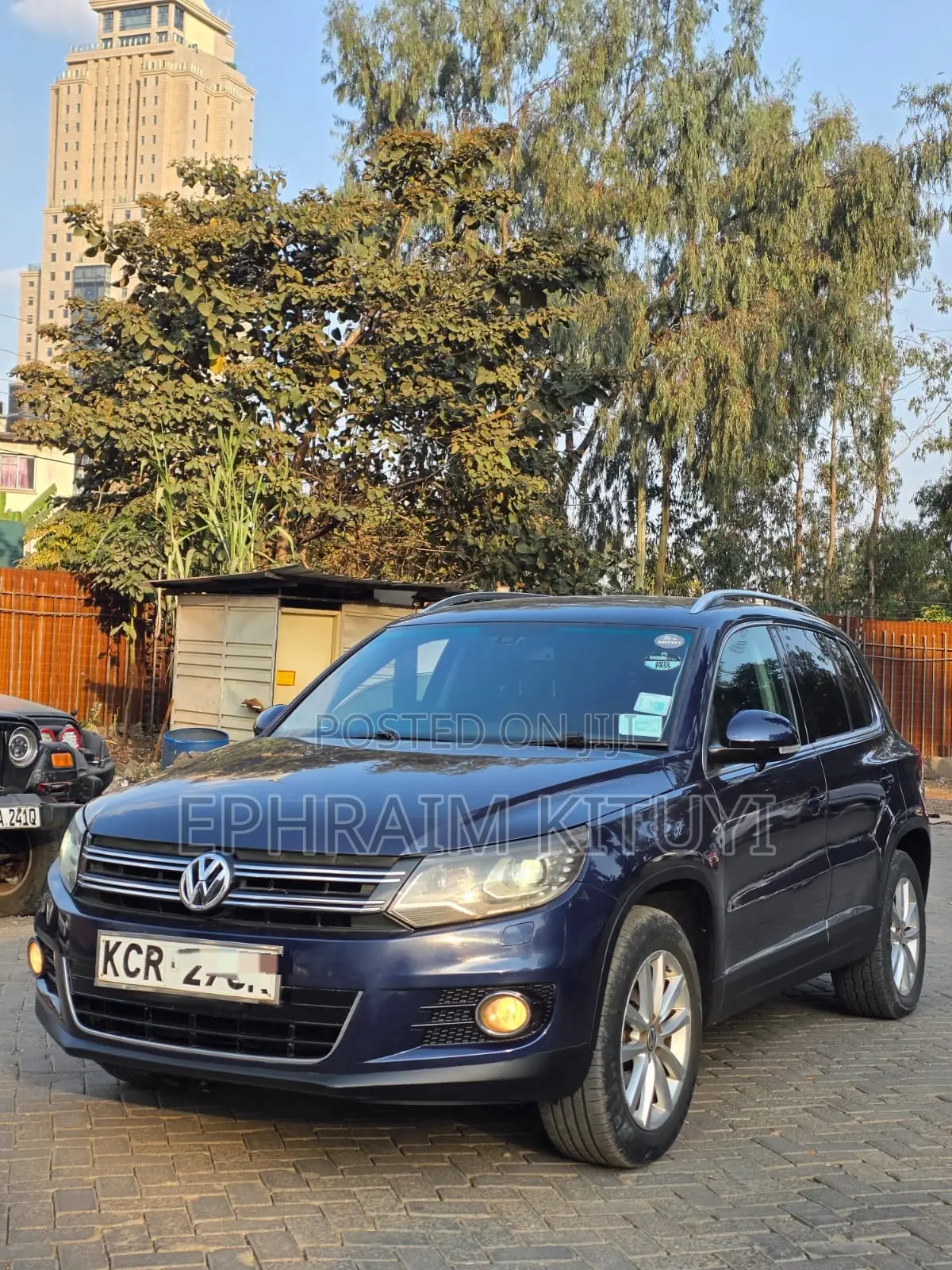 Volkswagen Tiguan 2010 Blue