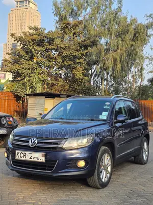 Volkswagen Tiguan 2010 Blue