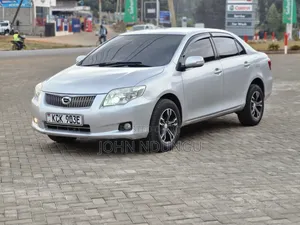 Toyota Axio 2010 Silver