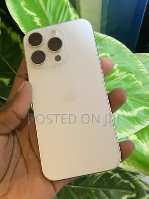 Apple iPhone 16 Pro 256 GB Silver