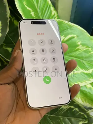 Apple iPhone 16 Pro 256 GB Silver