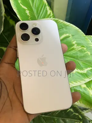 Apple iPhone 16 Pro 256 GB Silver