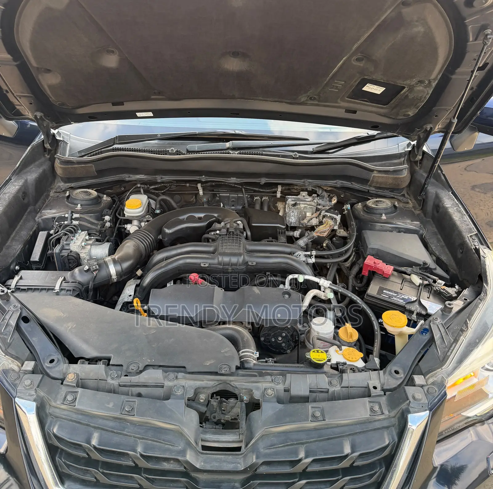 Subaru Forester 2016 Blue