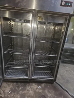 Double Door Display Freezer
