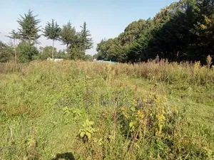 Kipipiri, Near Mawingo Shopping Center 2 Acres Farm Land
