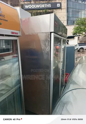 Double Door Display Freezer
