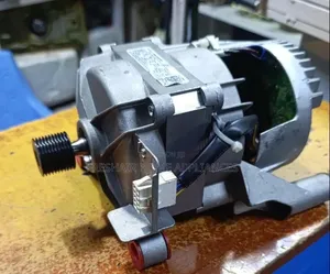 Washing Machine Motor