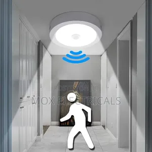 Ceiling Light Motion Sensor