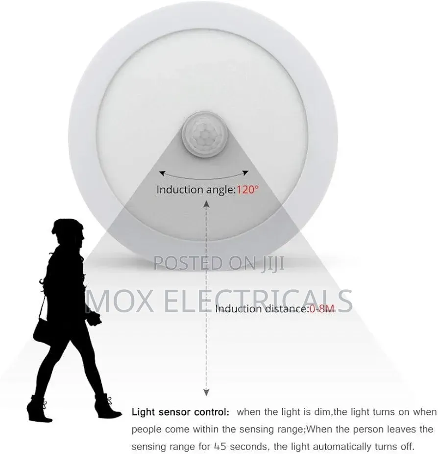 Ceiling Light Motion Sensor