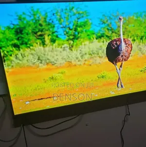 Skyworth TV