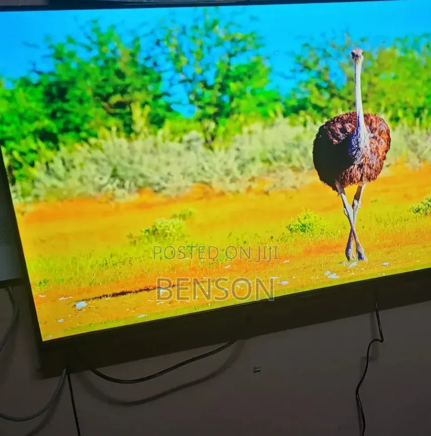 Skyworth TV