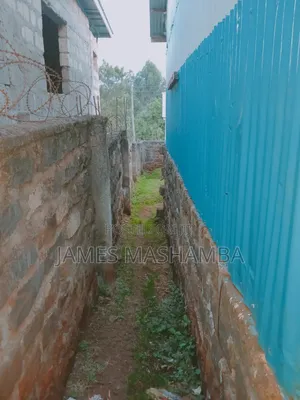 Prime Plot