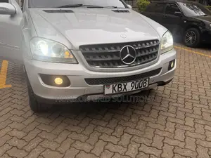 Mercedes-Benz M Class 2010 Silver