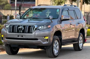 Toyota Land Cruiser Prado 2019 Gray