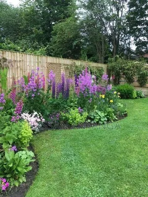 Plants and Flowers