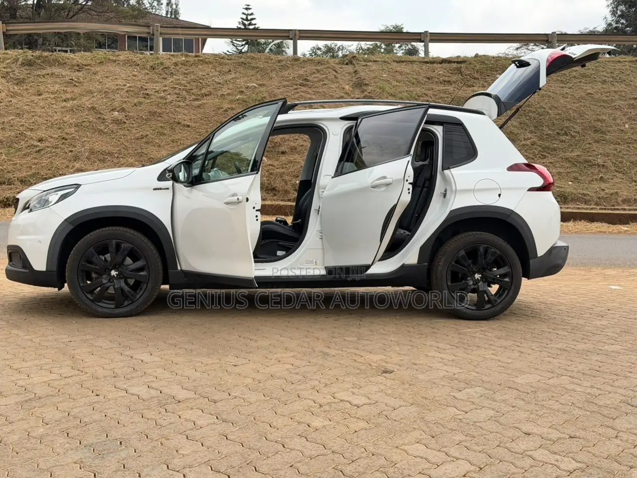 Peugeot 2008 2019