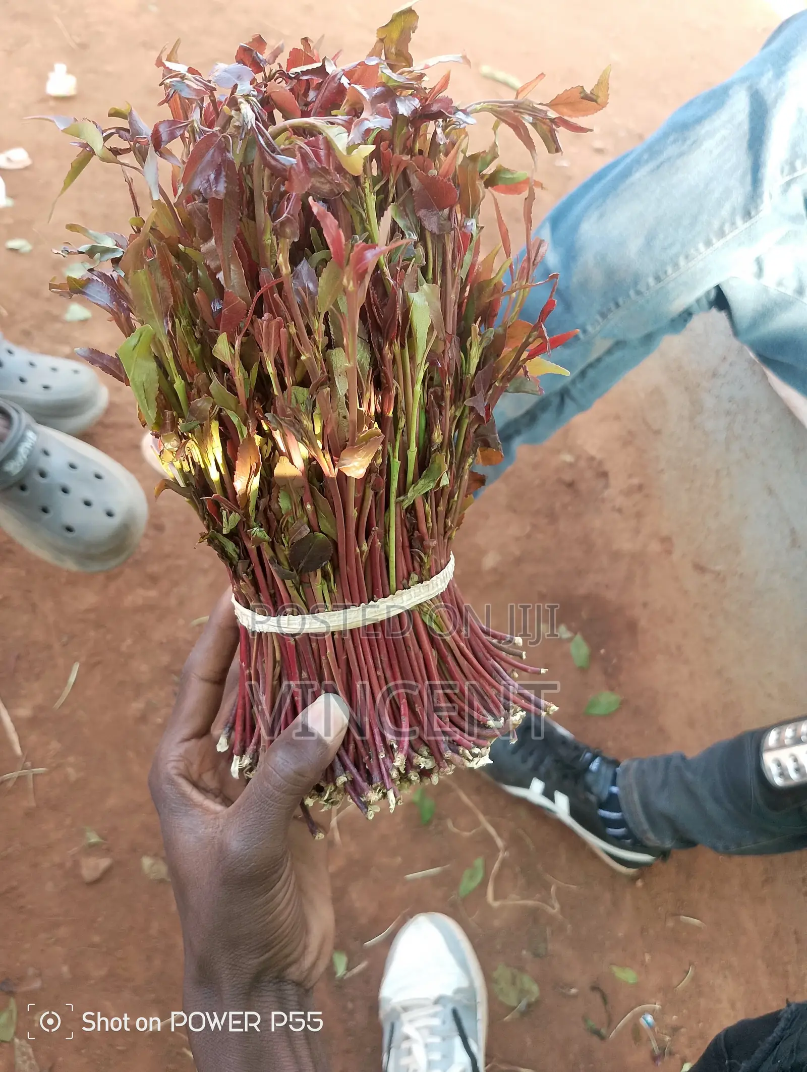 Bwegabwega Premium Miraa