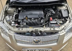 Toyota Axio 2007 Gold