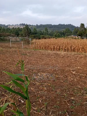 Very Prime 1⁄4ac Plots in Ndeiya Githarane Ideal for Residential Homes